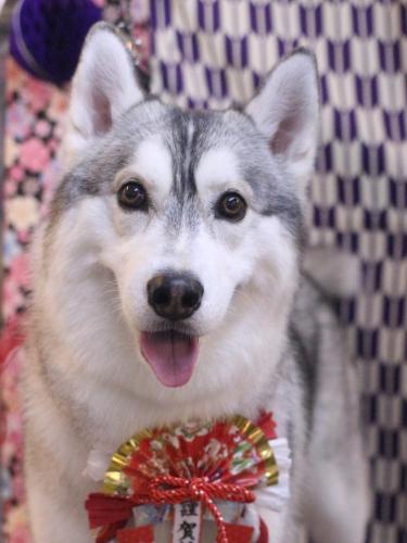 20250121てるくん